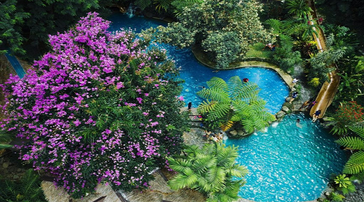 10 Forest Camp Resort